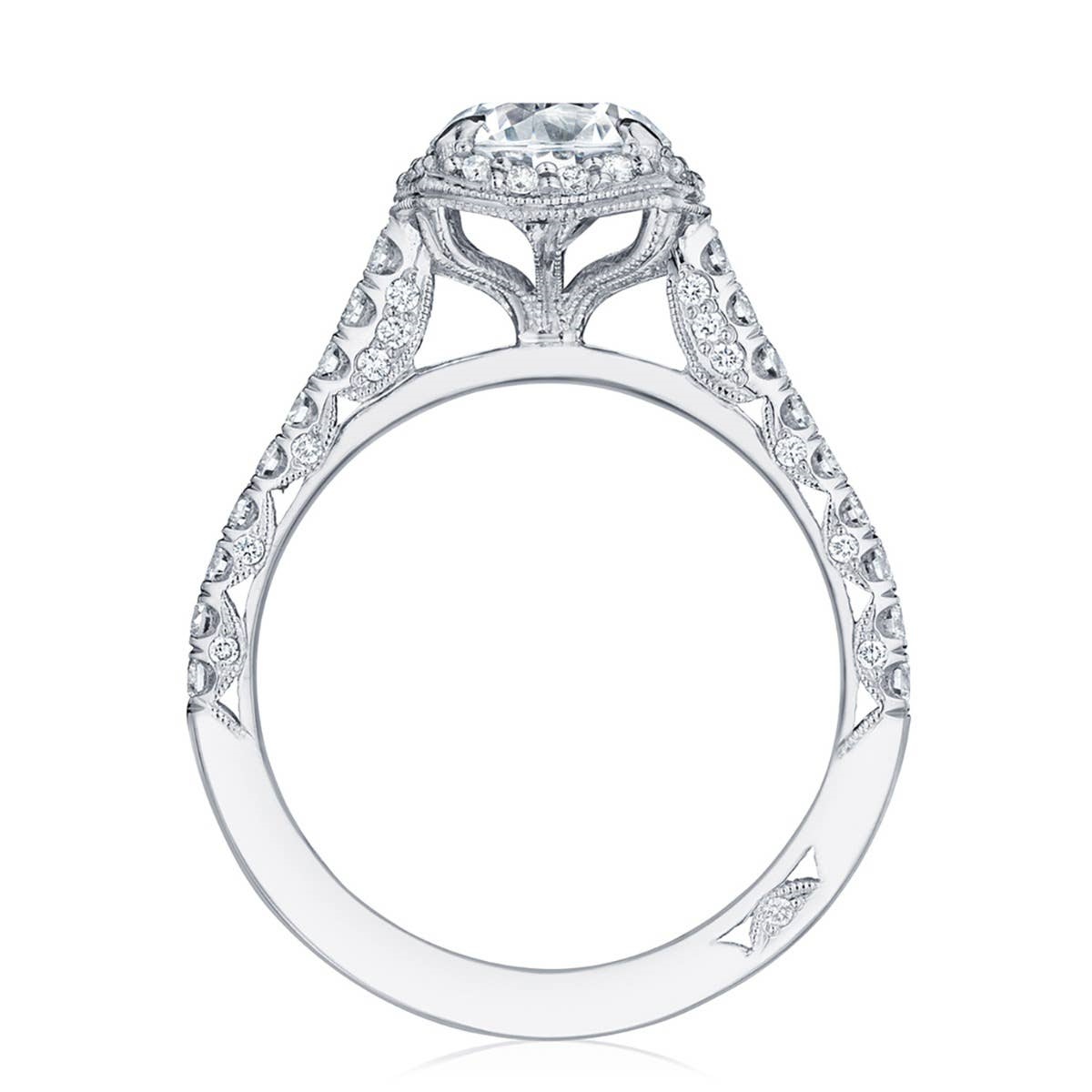 https://www.bsa-images.com/ackermanjewelers/AckermanJ/Inbox/140-02655