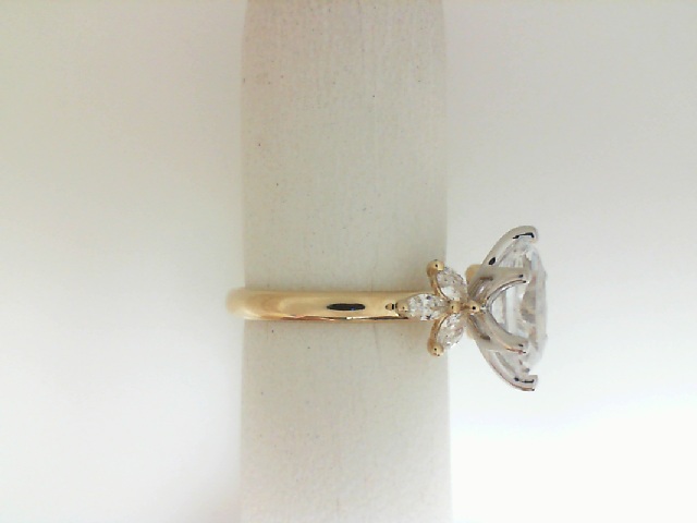 https://www.bsa-images.com/ackermanjewelers/AckermanJ/Inbox/140-05518
