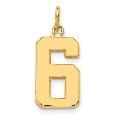 14 Karat Yellow Gold  #6  Charm
22x9mm