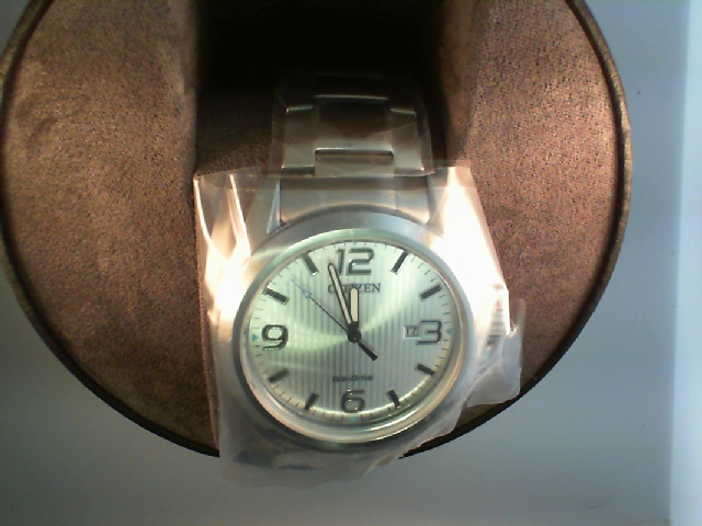 Men ECO WR100 SS Brac Slvr
