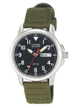 Mens Wr 100 ECO  Dr Day Date Strap