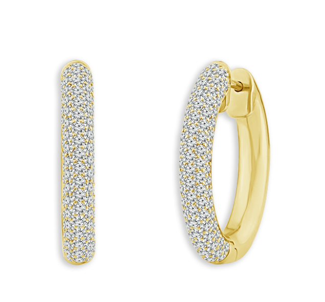 GOLDORA HOOP EARRINGS