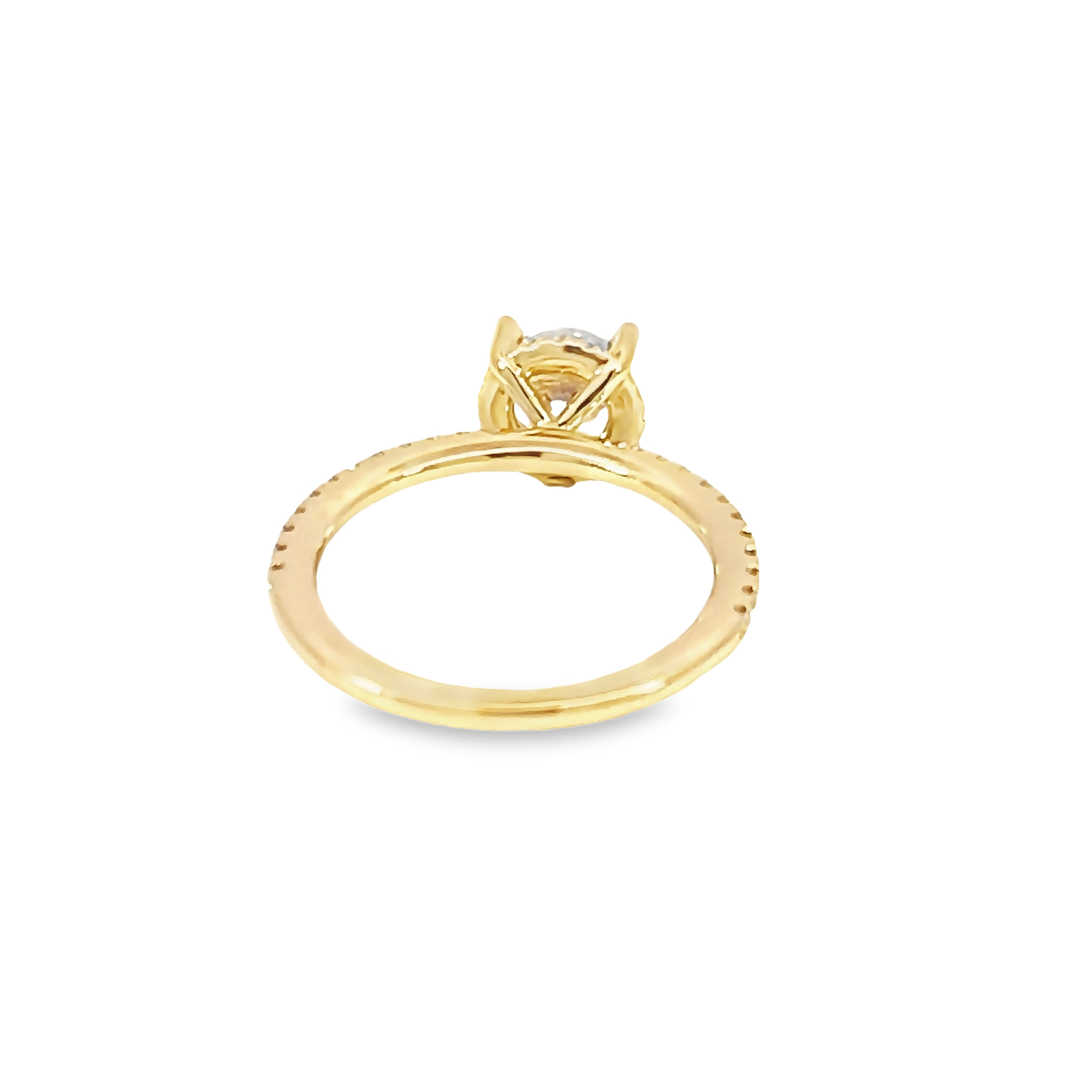 14k Yellow Gold Diamond Semi-mount With Low Halo