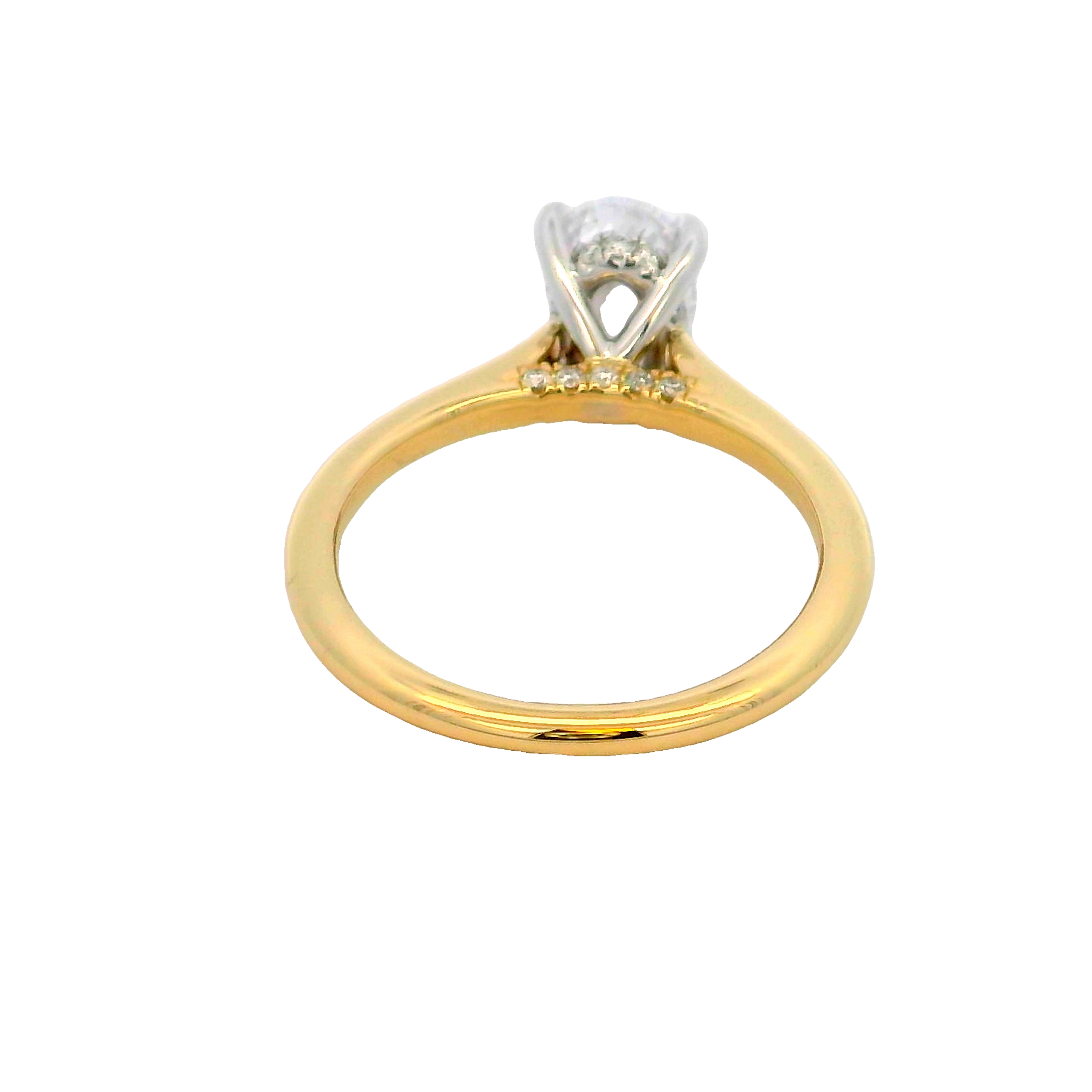 14k Yellow Gold Hidden Halo Diamond Engagement Ring