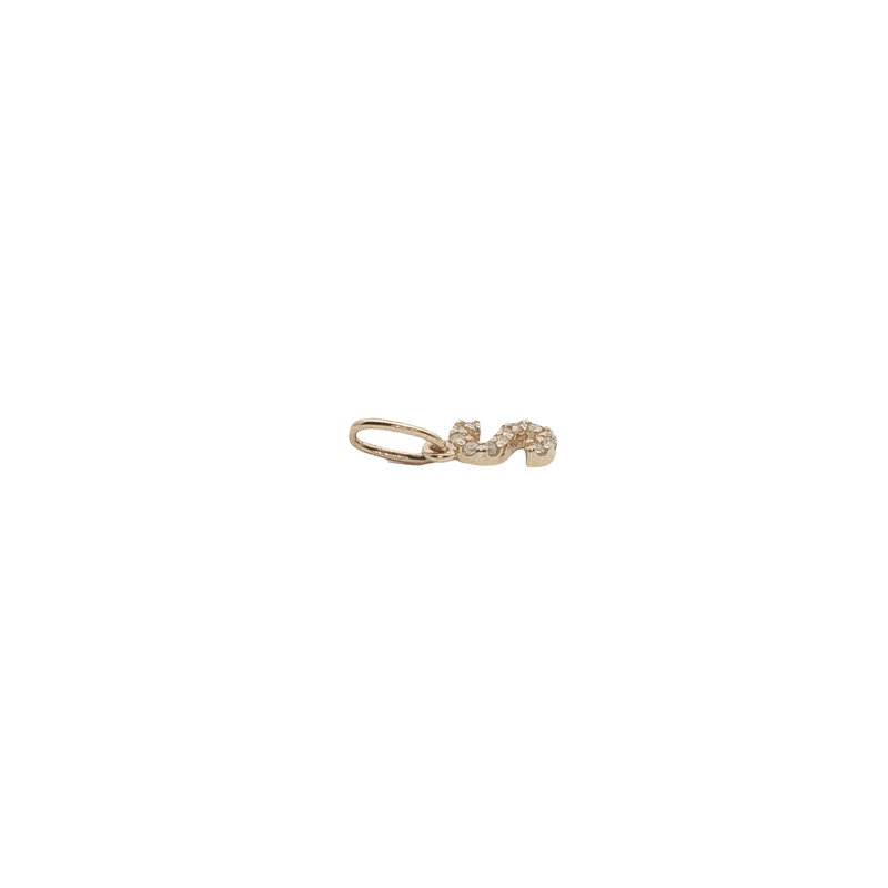 14k Yellow Gold Diamond Letter S Charm