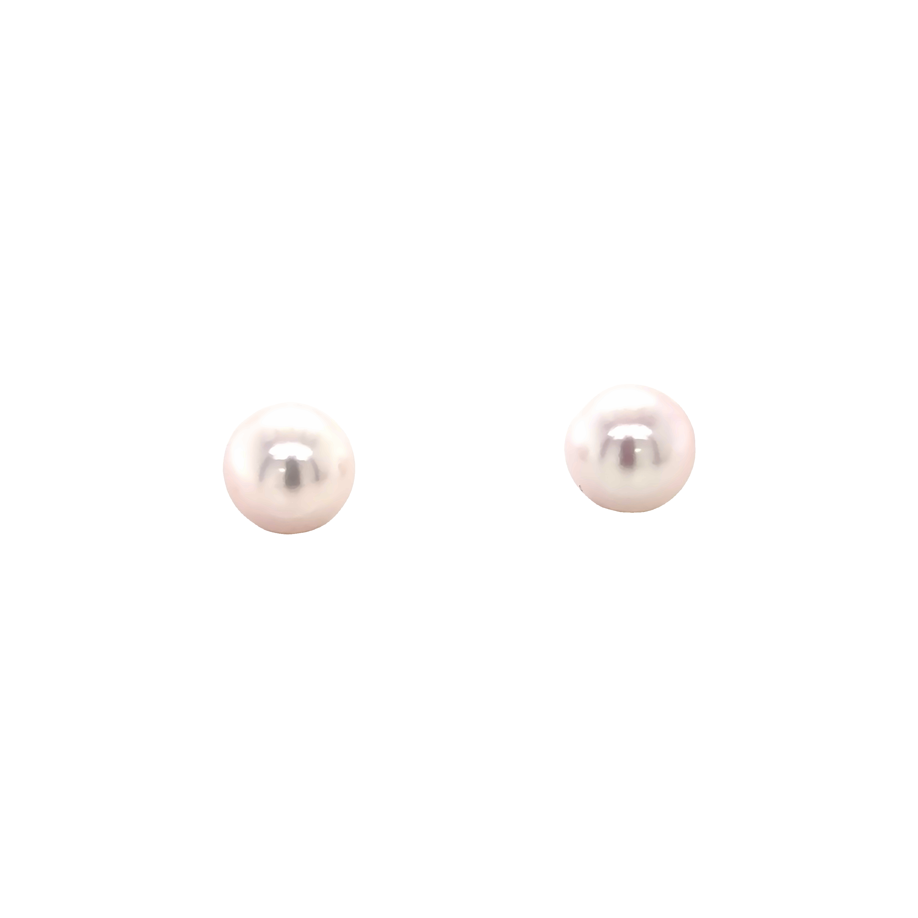 14k White Gold Pearl Stud Earrings