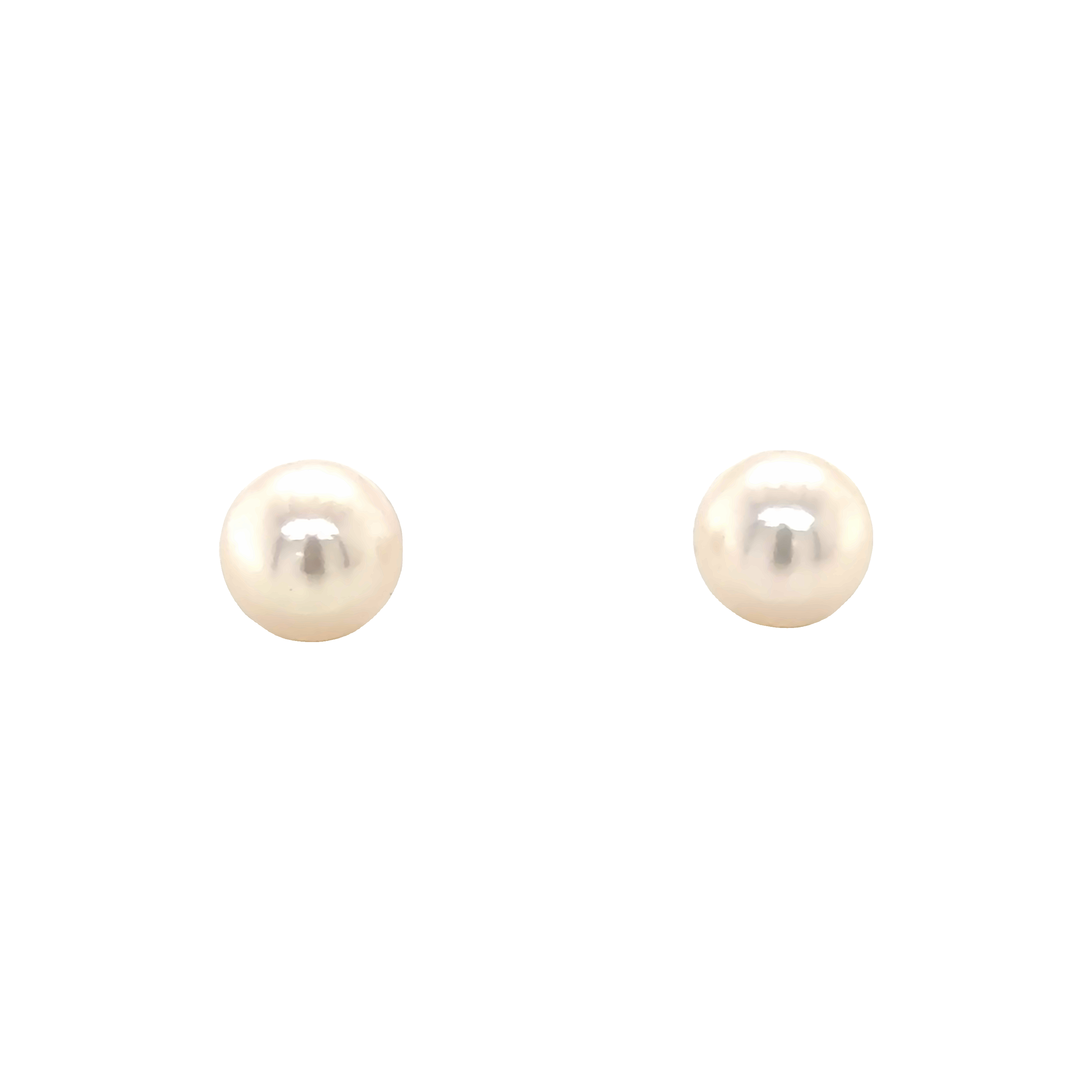 14 Karat white gold pearl earrings with 2=6.50-7.00mm Cultured Akoya Pearls