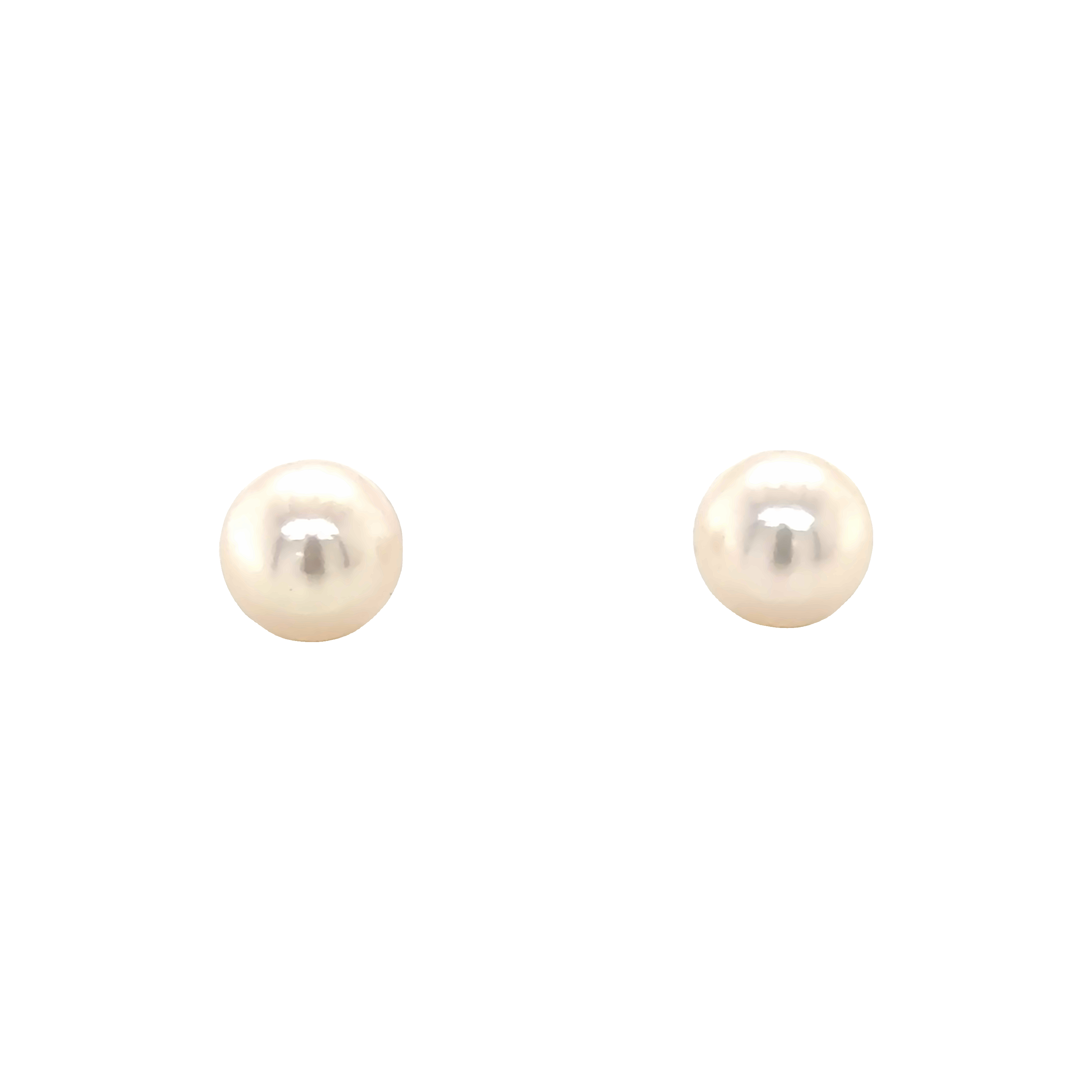 14 karat white gold pearl earrings with 2=6.50-7.00mm Cultured Akoya Pearls