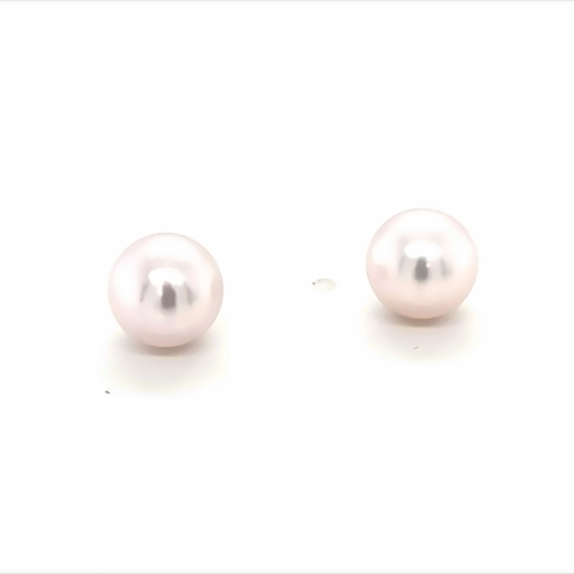 Akoya White Pearl Paperclip Chain Earrings in Rose Gold - 8mm