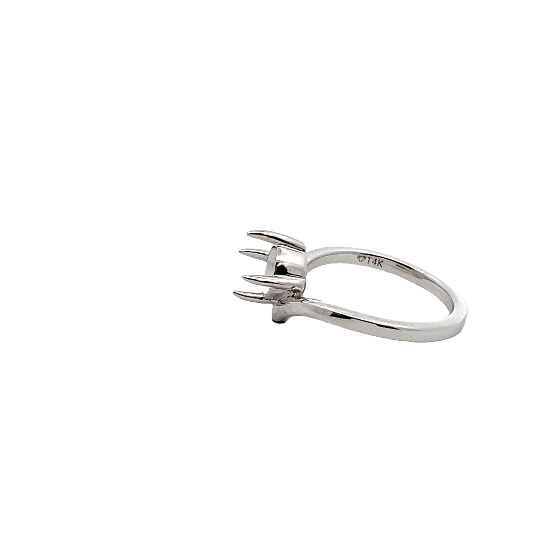 14k White Gold Remount