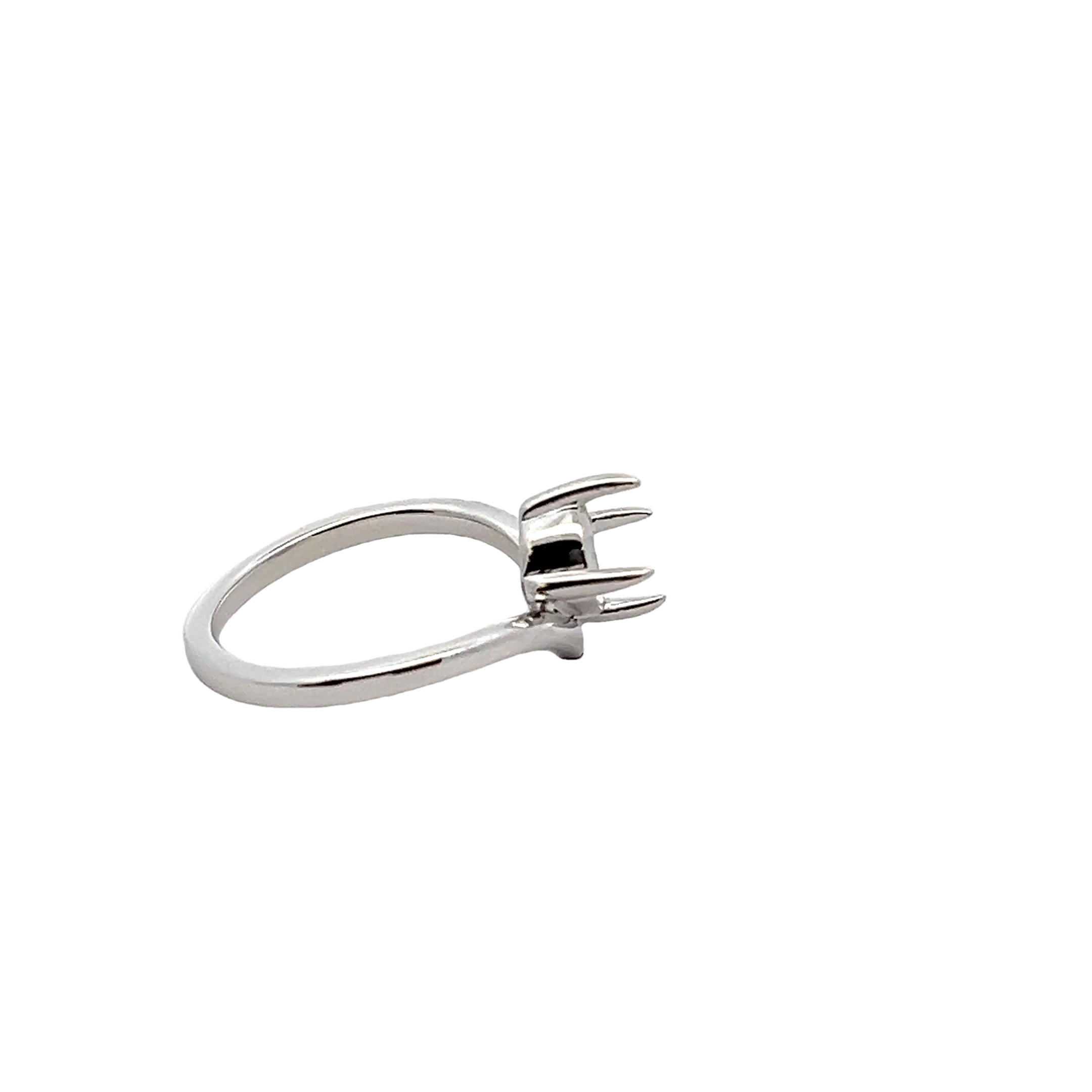 14k White Gold Remount