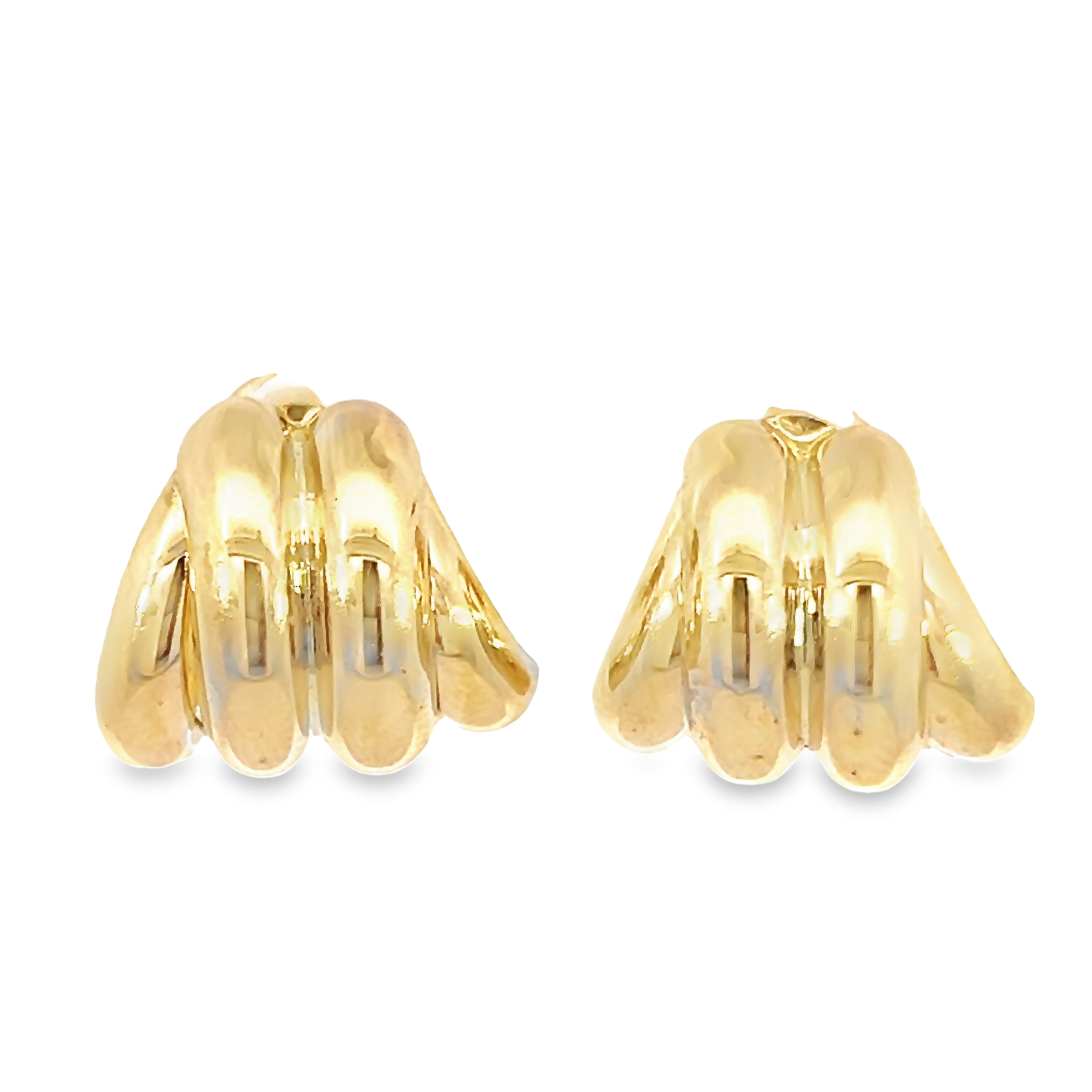 14k Yellow Gold Shell Earrings