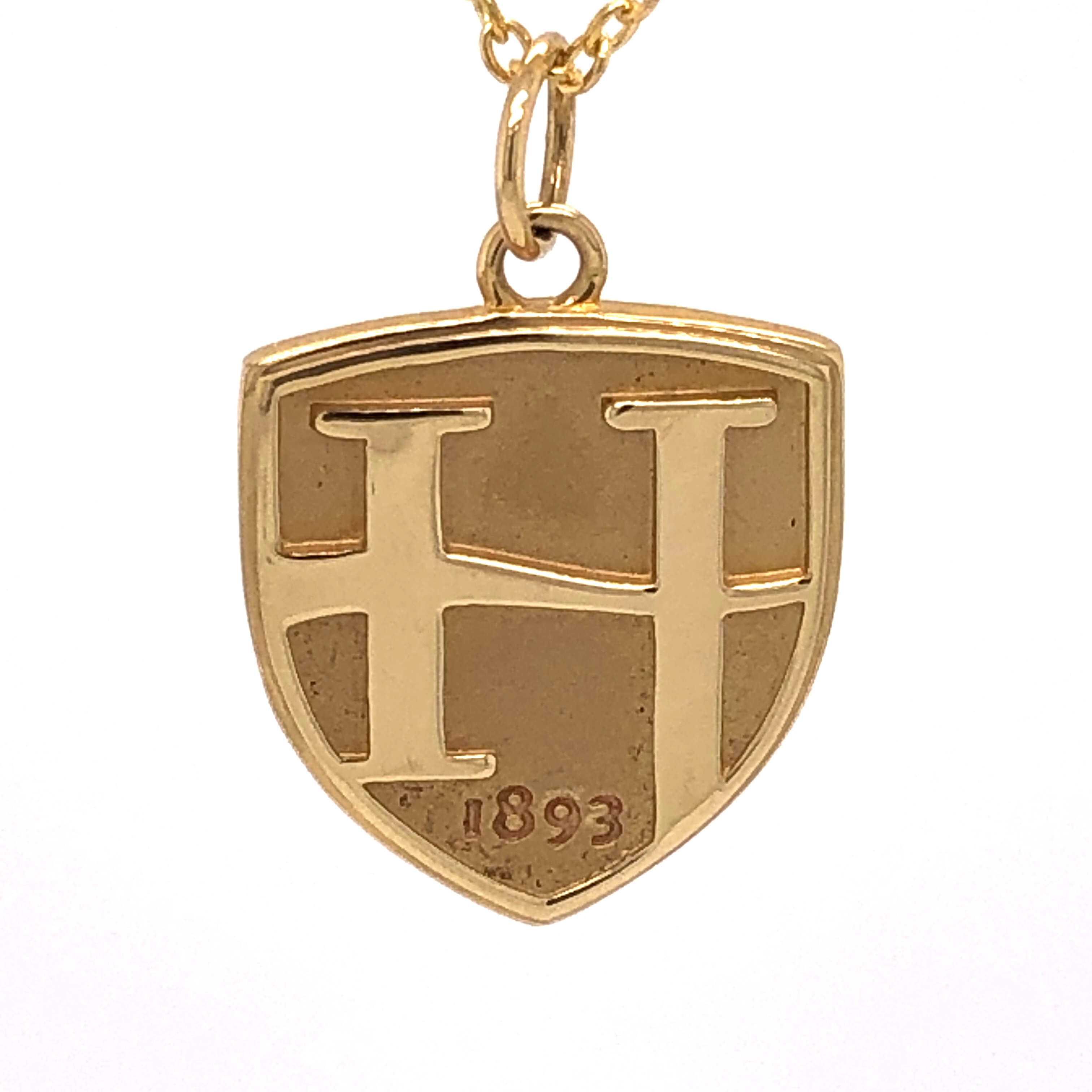 14k Yellow Gold Hood Collage Charm