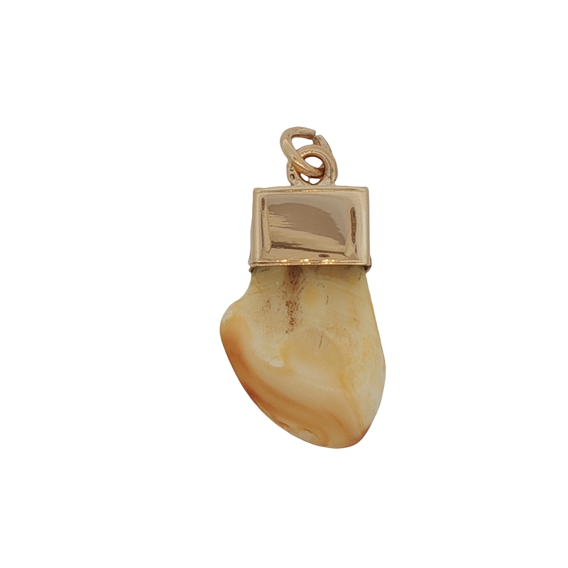 14k Yellow Gold Elks Tooth Pendant