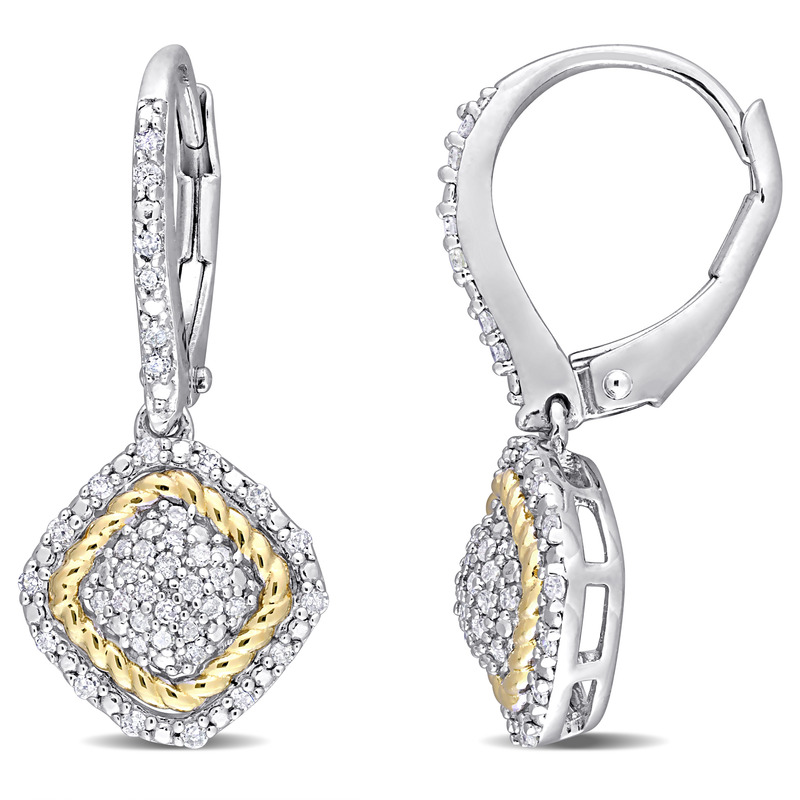 1/3 CT TW Diamond Rope Design Leverback Earrings in Two-Tone Sterling Silver