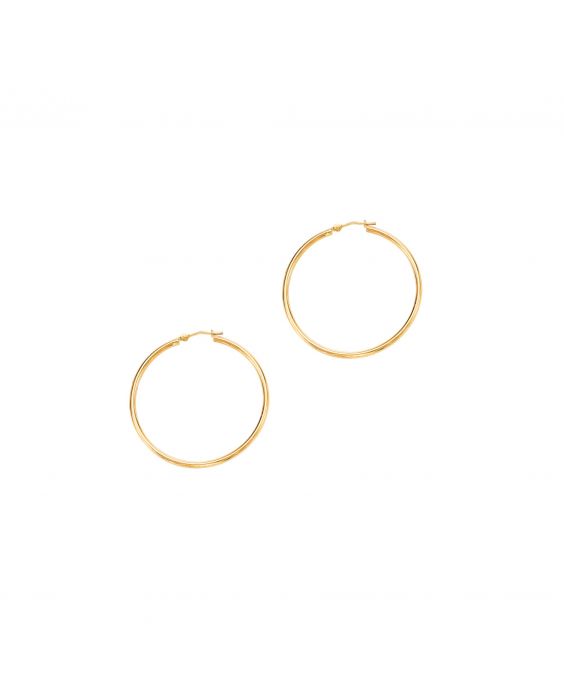 Elegant Gold Hoop Earrings