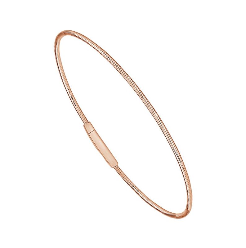 RosÃ© 14k & Titanium Bangle Bracelet Length 6