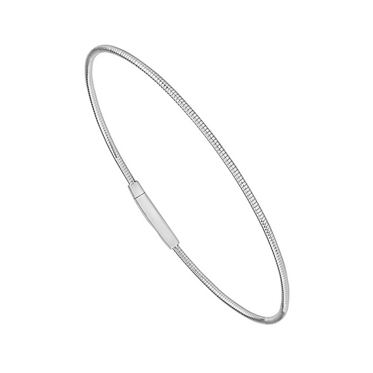 Elegant White Gold Andtitanium Bangle