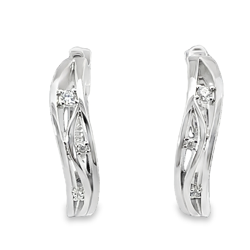Elegant Silver Hooop Earrings