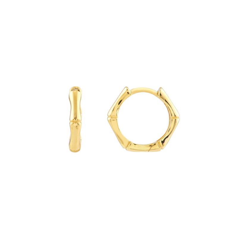 Bamboo Pentagon Mini Hoop Earrings