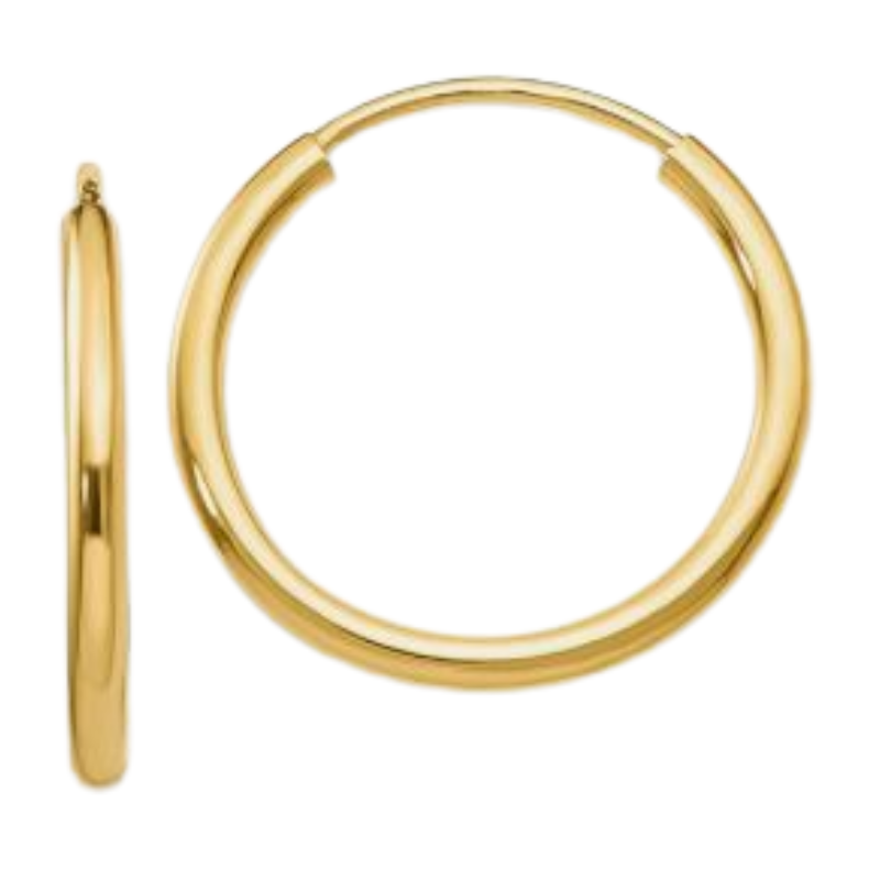 CARLA Endless Hoop Earrings