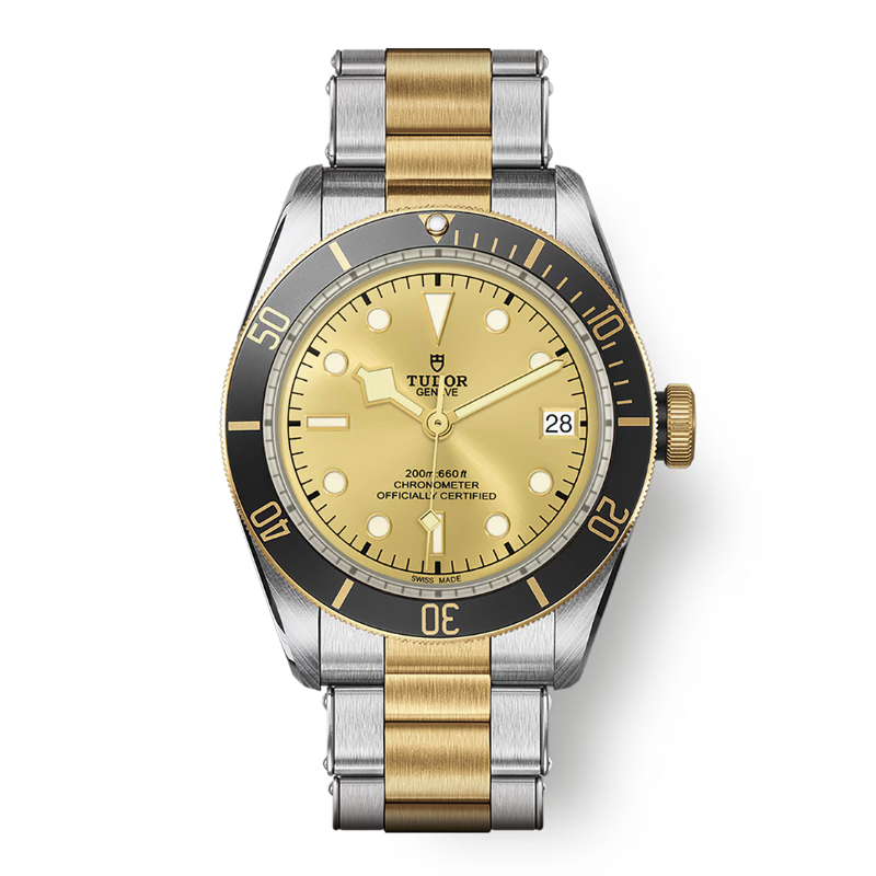 PRE OWNED TUDOR: Black Bay S&G 41MM