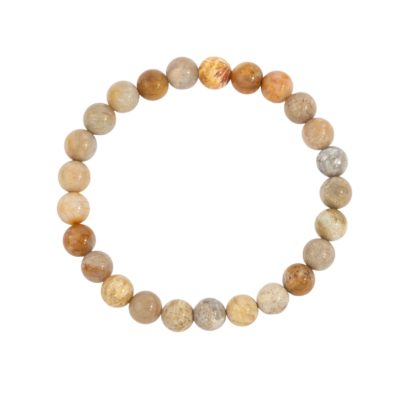 Fossil Coral Mens Bead Bracelet