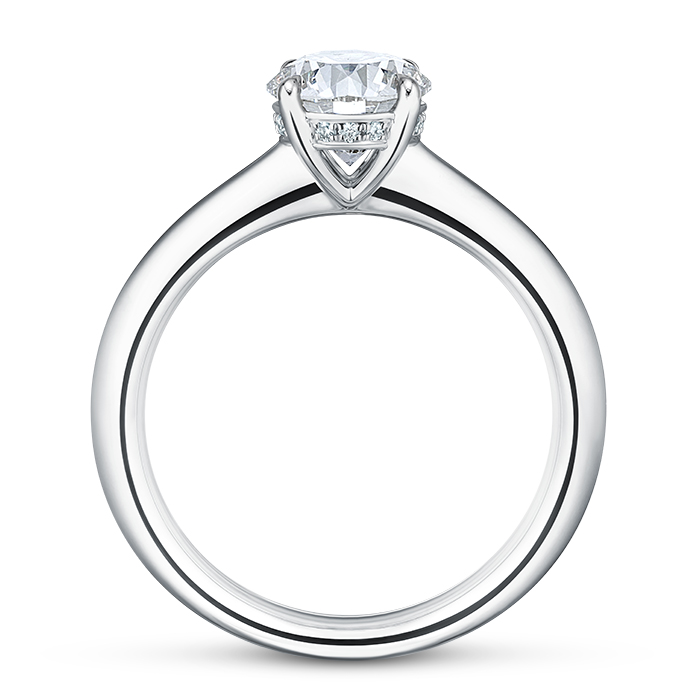 0.72 ctw. Illustrious Hidden Halo Engagement Ring in Platinum