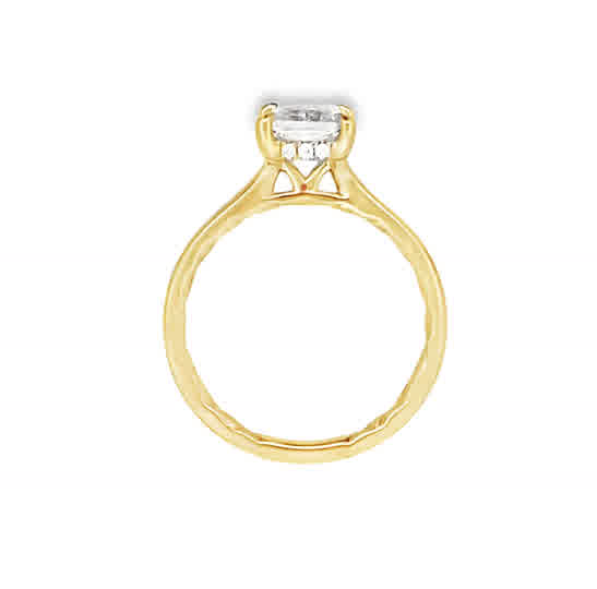 Hidden Halo Engagement Ring Setting