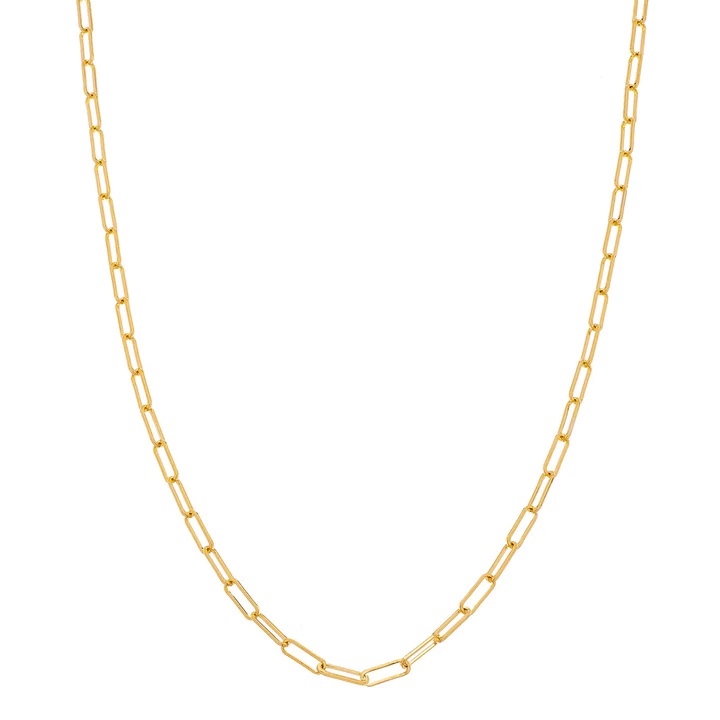 Sethi Couture 18kt Yellow Gold Medium Paperclip Chain