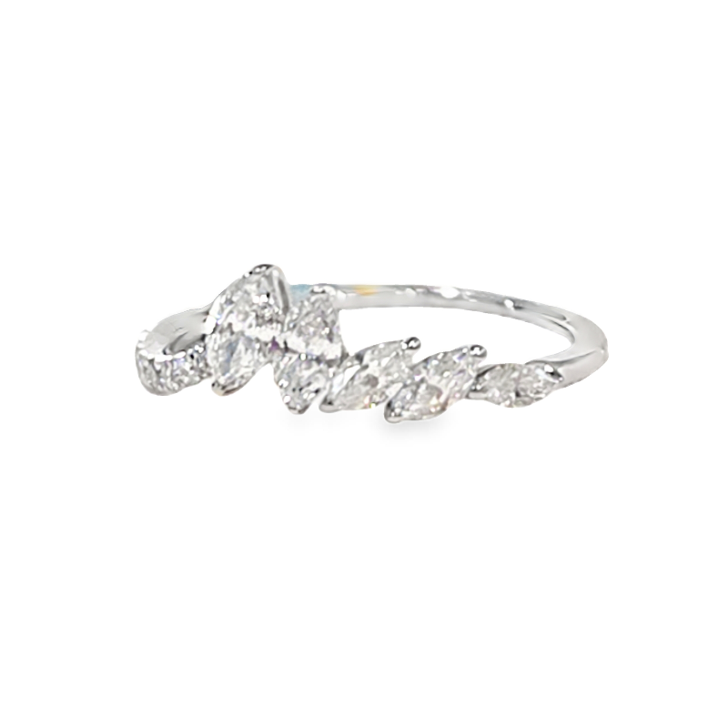 https://www.bsa-images.com/levyjewelers_2018/images/20260206175207711_6e6f9414.png