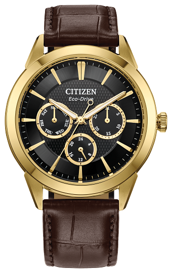 Citizen Classic Timepiece