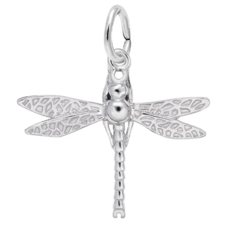 Dragonfly Charm
