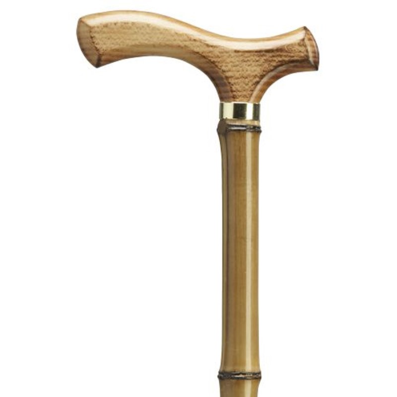 Bamboo Cane