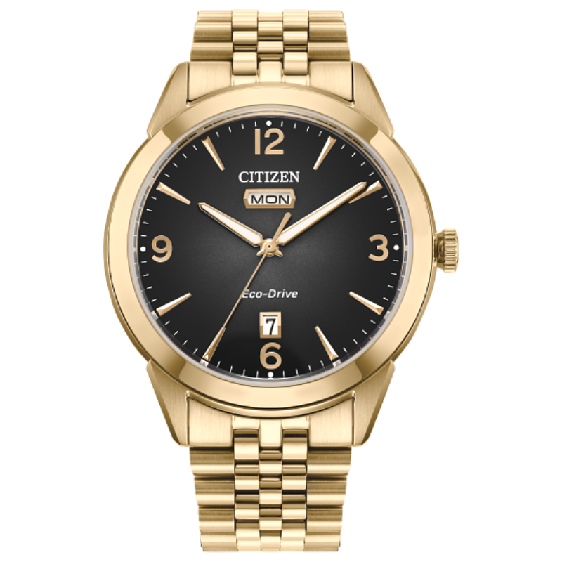 Citizen Gents Rolan Timepiece