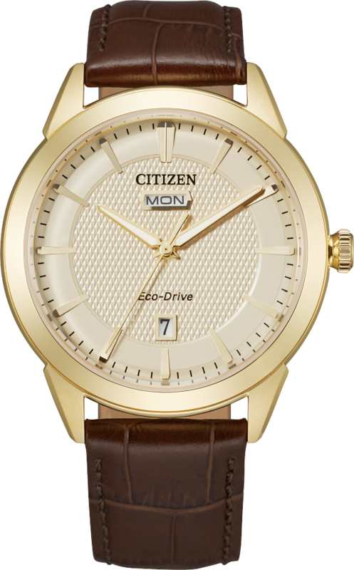 Citizen Rolan Timepiece