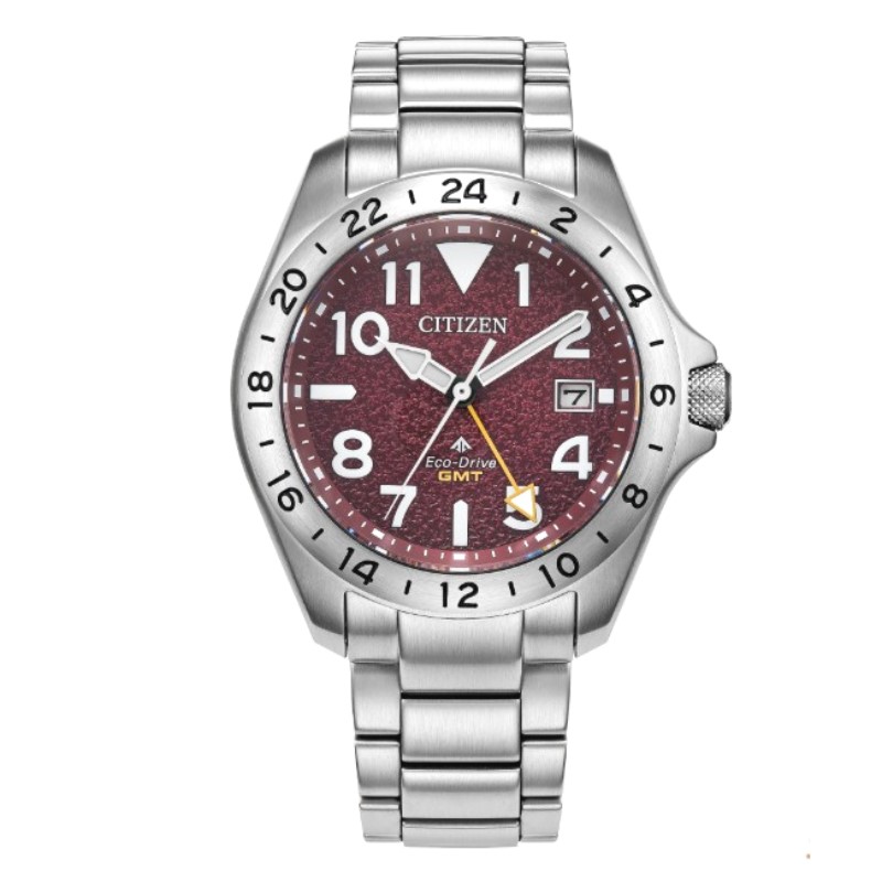Citizen Promaster Land GMT Timepiece