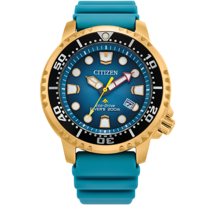 Citizen Promaster Dive Timepiece