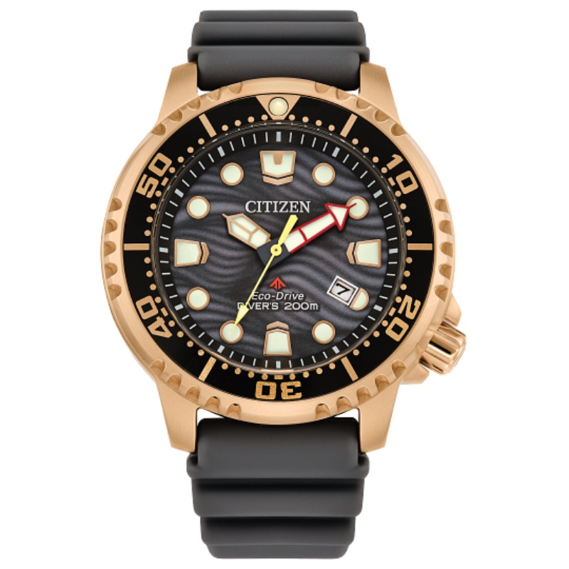Citizen Promaster Dive Timepiece