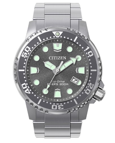 Citizen Promaster Dive Timepiece