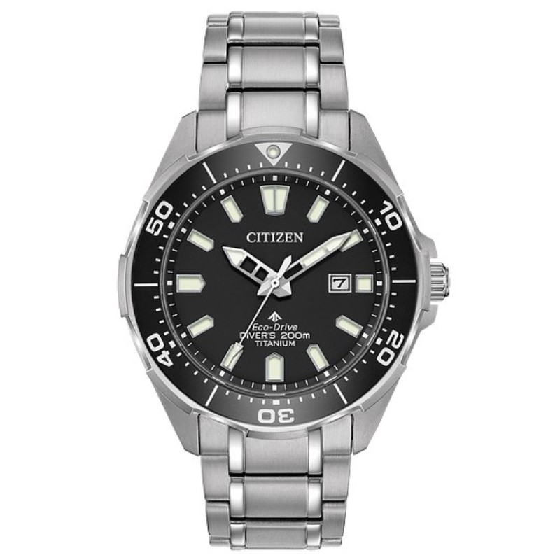 Citizen Promaster Dive Timepiece