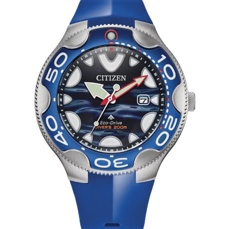 Citizen Promaster Dive Timepiece