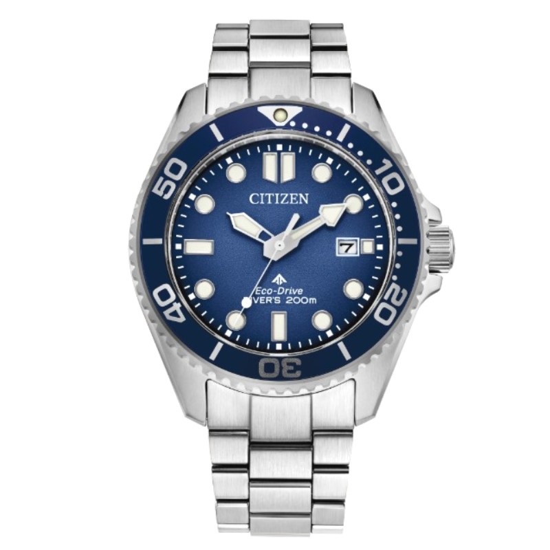 Citizen Promaster Dive Timepiece