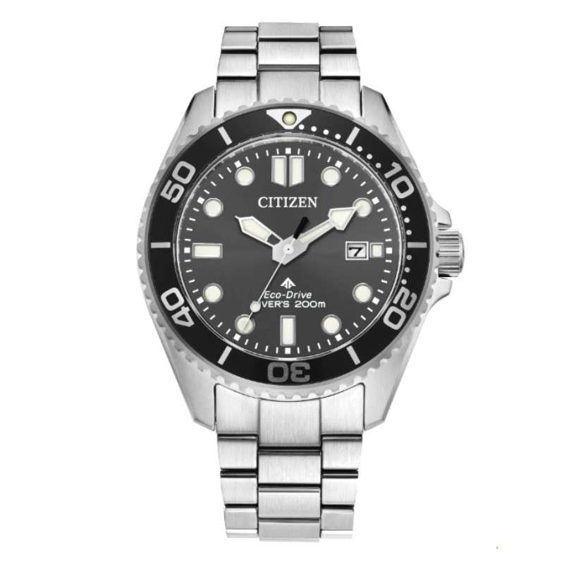 Citizen Promaster Dive Timepiece
