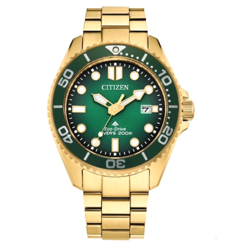 Citizen Promaster Dive Timepiece