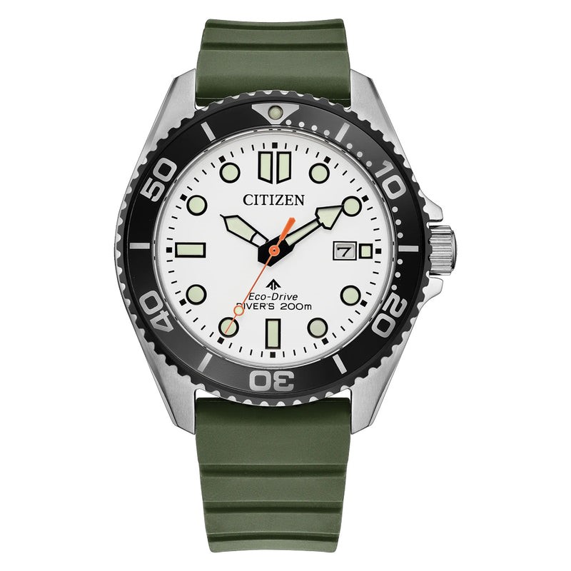 Citizen Eco-Drive Promaster Dive Timepiece