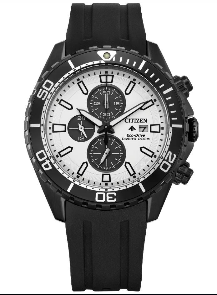 Citizen Promaster Eco-Drive Dive Watch