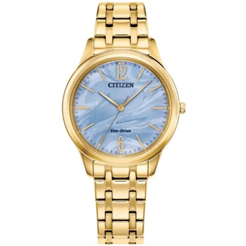 Citizen Eco-Drive Timepiece