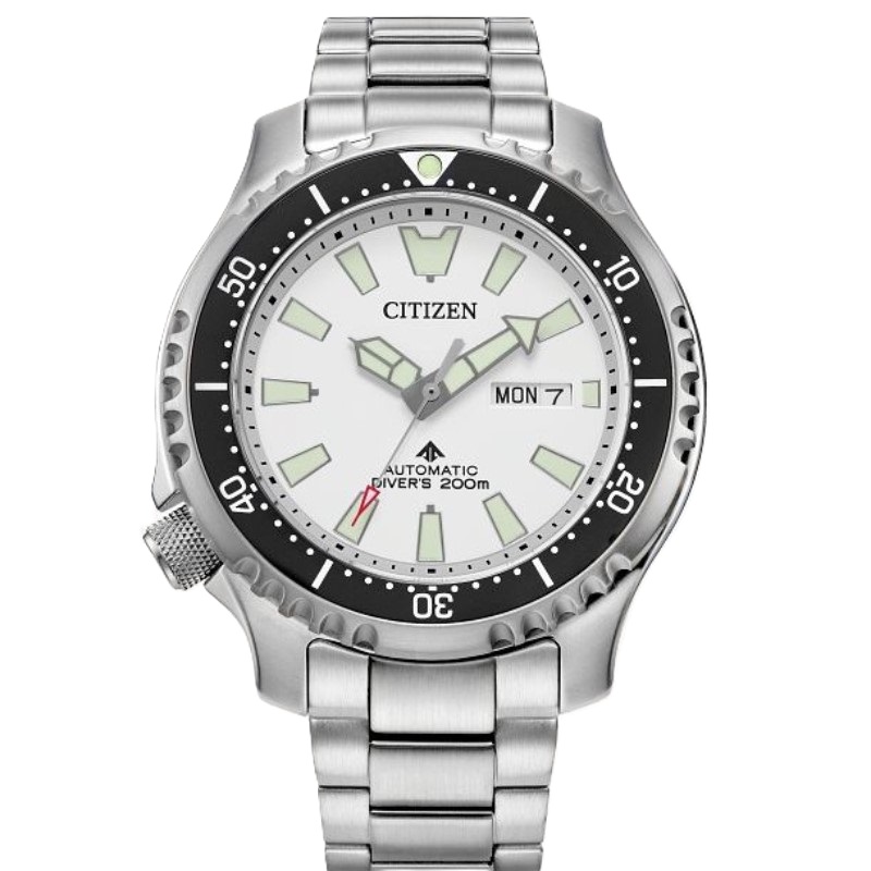 Citizen Promaster Dive Timepiece