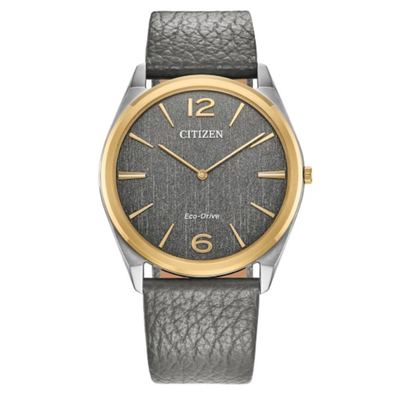 Citizen Suratto Classic Timepiece